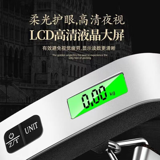 Goheng Electronic Portable Scale Crane Scale Hook Scale Portable Luggage Scale Portable Electronic Scale Courier Special Hook Scale Express Scale Home Travel 100 Jin Jin is equal to 0.5 kg Weighable Stainless Steel Hook Rechargeable Model