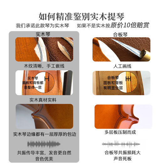 
Taitse S260 Grade Exam Violin Solid Wood Beginner Handmade Children Adult Performance Violin Introductory Practice for Practicing 4/4 Matte Height 155220cm