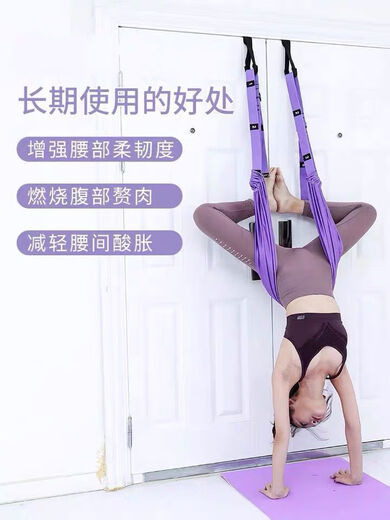 Zailu Aerial Yoga Sling Haushalt Rückenbeugen Pferdetrainer Stretchgürtel an der Tür hängen Inversionsgerät Spanngurt zweite Generation verstärkter Doppelring lila tragend 600Jin Jin entspricht 0,5 kg
