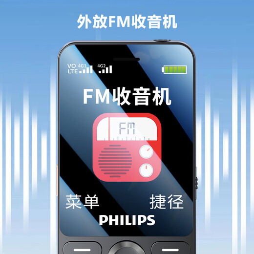 Philips (Philips) P319 Full Network 4G älter
