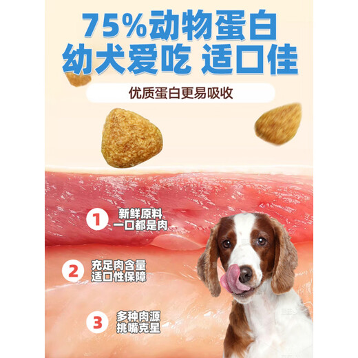 OIMG Puppy Dog Food Puppy Food 1-12 Months Small Puppies Special Milk Cake Dog Food Teddy Small Puppies Special Dog Food (Applicable for 1-12 months old) 2kg Get coupon for instant discount and enjoy special price Get 4