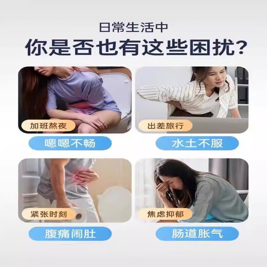 胖东来cns益生菌舒畅益生菌胶囊藏红花益生菌脑肠轴肠道情绪益生 2瓶装[CNS舒畅益生菌]