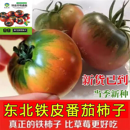 Qili Authentic Fruit Strawberry Tomato Seeds Super Sweet Tiny Tomato Seeds Balcony Field Spring and Autumn Planting Tiny Strawberry Tomato Seeds 2 Packs/200 Tablets Spread