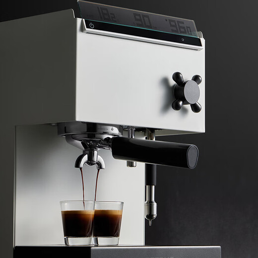Petrus 3888pro Coffee Machine Hogar italiano Concentrando Semiautomático Oficina Comercial Pequeña máquina de leche de leche de leche Dual caldera de agua caliente Holy Holiday Space (