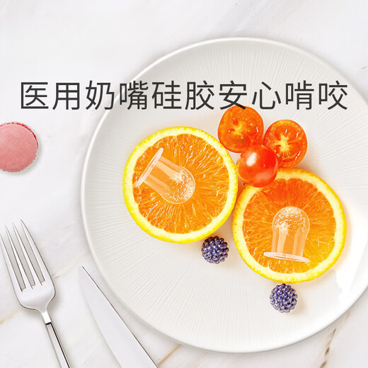 Qiaran Japanese baby chewing and eating fruit can push silicone food fruit and vegetable baby to eat fruit food supplement soothing teether chewing bag to prevent the chain from falling off - Glacier Blue 1 pack