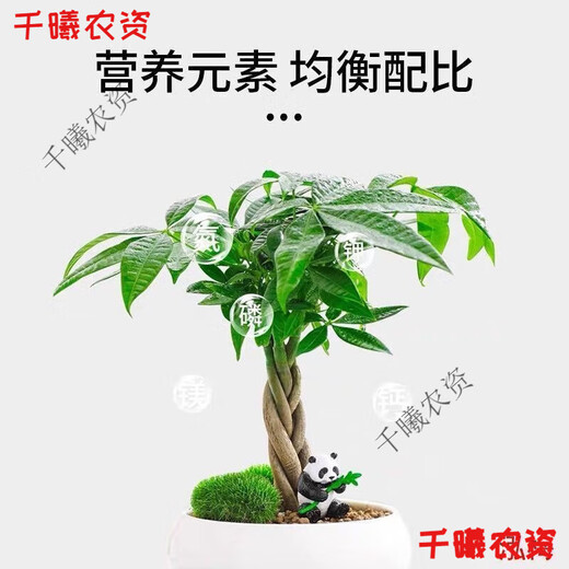 Bud Power Green Plant Fertilizer Slow Release Stick Nutrition Stick Flower Fertilizer Household Flower Gardening Universal Potted Plant Stick Flower Slow Release Fertilizer Trendy New Fertilizer/Plant Nutrition Bar Green Leaves + Flower Boosting + Root Strengthening 3 boxes of 54 pieces