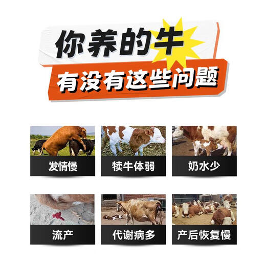 British and American cattle feed breeding cow special feed cow mother premix fattening growth promotion Zhengda additive 5 bags