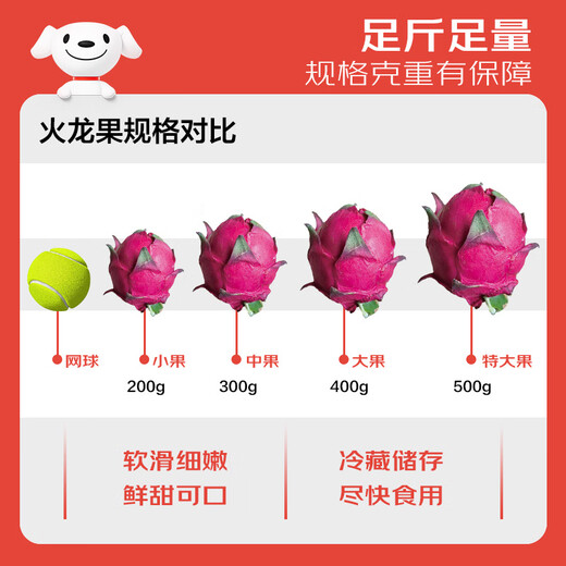 Jingxian Raw Red Heart Pitaya Super Large Fruit 6 pieces, single fruit 400g, net weight 4.8Jin Jin is equal to 0.5kg, gift box, fresh fruit