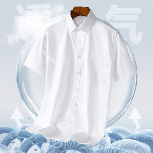 Romon Summer à manches courtes Shirt Men's Ice Silk Thin Bamboo Fiber White Shirt Professional Business Officiel Half Mancheve Top Men's Dx6625 38 (105)