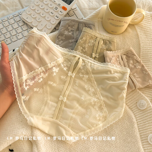 Demon Fox Women's Underwear Sexy Lace 4 Pack Pure Sexy Lace Underwear Femme Sexless Strip Mulberry Silk Bottom Gotch Girls 2 Y3899-GRAY + Tone Peau + vert + rose clair L Convient pour 80-120Jin [Jin est égal à 0,5 kg]