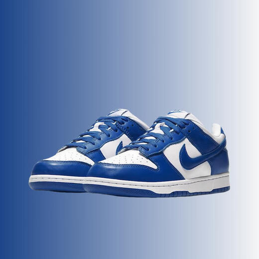 耐克（NIKE）  耐克女鞋SB Dunk Low男鞋春夏季低帮休闲运动板鞋D 黑白熊猫 DD1391-100 40.5