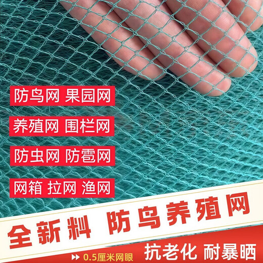 Orchard fruit tree anti-bird net fish pond breeding net chicken net fence protective net nylon fishing net anti-hail net knotless net 1 meter wide X 3 meters long 0.5 cm hole