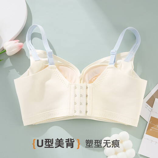 雅黛俪（ALDOLA）内衣女提拉小胸聚拢显大2025春夏新款收副乳防下垂调整型文胸罩 奶白 75A