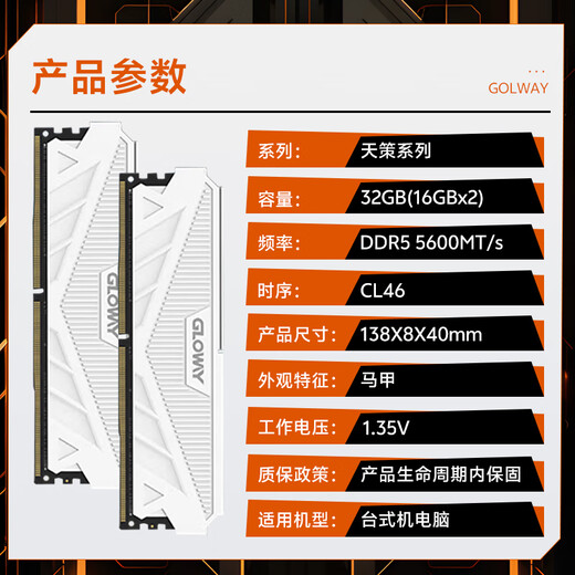 Gloway 32GB (16GBx2) DDR5 5600 desktop memory Tiance vest selected particles CL46 Haoyue White