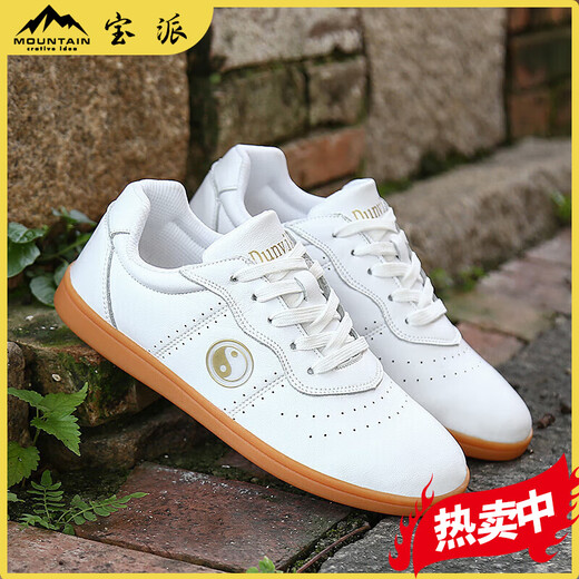 何佳功夏季透气皮面男女款太极鞋透孔牛筋底太极拳鞋通用运动训练鞋百搭 9789白色真皮冲孔款 37