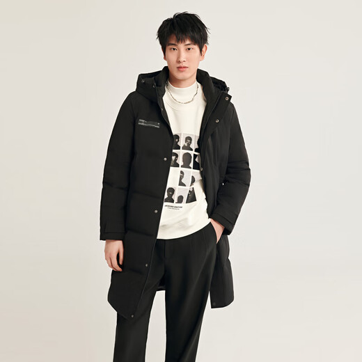 Fliegen im Schnee Herbst und Winter Orientalischer schlichter Luxusstil Modische lässige bequeme Silhouette Herren H-Typ bedruckter Stehkragen mit Kapuze und Daunen