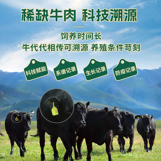天莱香牛新疆有机牛腱子肉1斤谷饲国产牛肉生鲜酱卤牛肉清真【真原切】