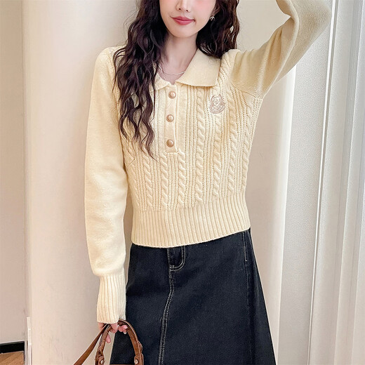 TonLion 2025 Autumn and Winter Women’s College Style Embroidered Design Lapel Pullover