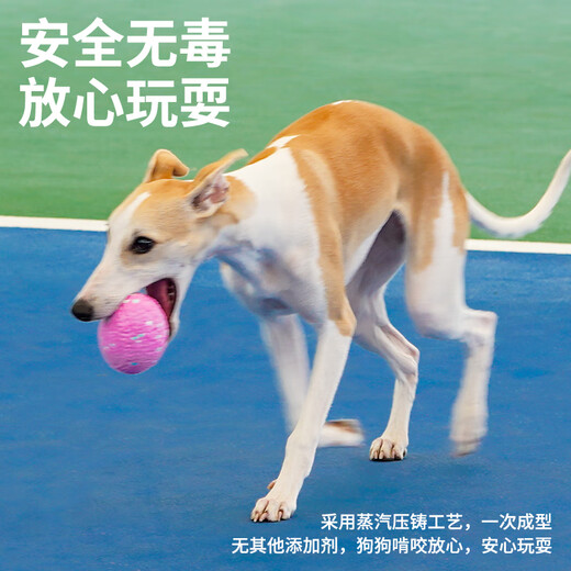 ZEZE dog toy self-healing resistant molar chewing ball rubber small ball rope knot to relieve boredom small and medium-sized dog training ball