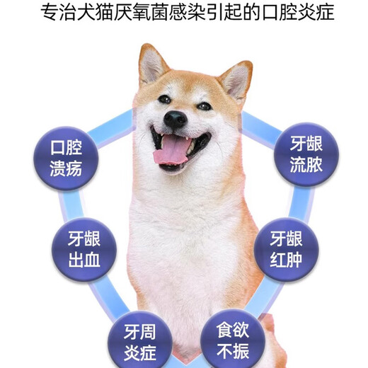 Paiwei Paiwei metronidazole tablets for cats with stomatitis, pet trichomoniasis, dog deworming, gum oral anti-inflammatory, ulcer redness and swelling medicine 6 tablets/1 plate without box SF Express