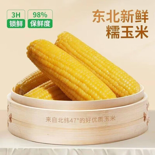 New arrivals of the season: Northeast yellow sweet glutinous corn on the cob, 10 sticks, vacuum-packed, low-fat yellow glutinous corn on the cob, sweet Northeast sticky corn, first-crop yellow corn, 10 cobs, starting from 220g/cob