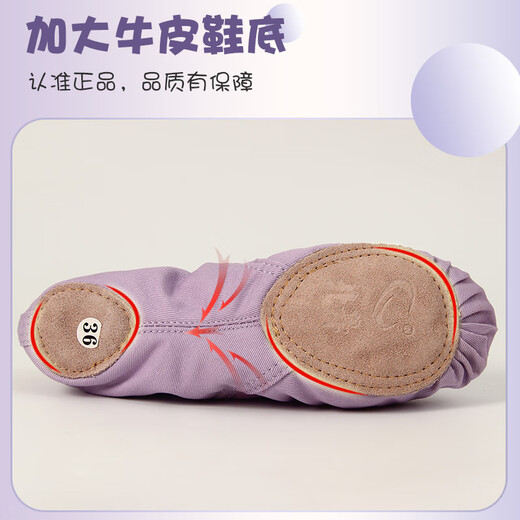 LEOEZYA Cat Claw Shoes Northern Dance Plus Velvet Thickened Autumn and Winter Dance Shoes Children's Soft Sole Practice Adult Body Ethnic Dance Cat Claw Morandi Green Velvet (Send Cloth Bag) 25