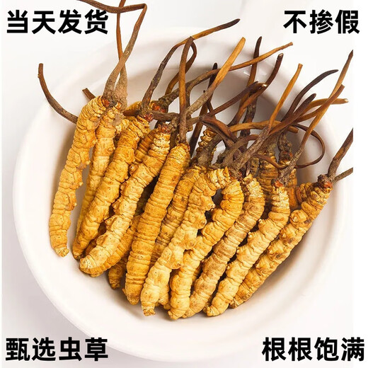 冬虫夏草礼盒装精品藏区虫草当天发货送礼首选正宗雪域冬虫夏草 西藏那曲高海拔虫草4条1克100条