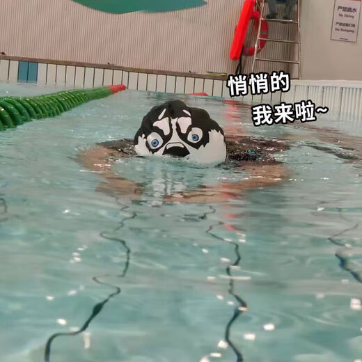 Mountain shoulder pine husky silicone swimming cap, funny high elasticity, enlarged and not tight, cute swimming cap for men and women, waterproof swimming cap, husky waterproof swimming cap + nose clip earplugs, enlarged version