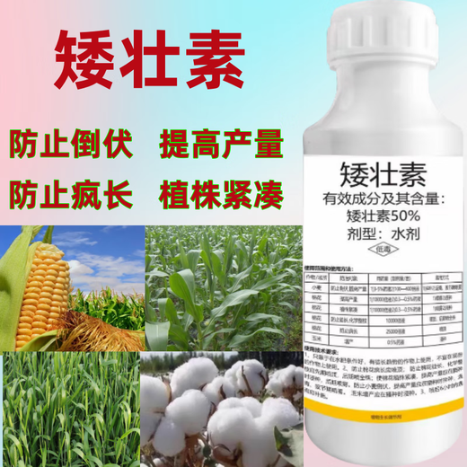 Chlormequat prevents plant health and growth control agent, plant flower dwarf hormone, sunflower succulent special dwarf plant, 50g bottle