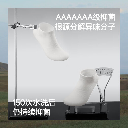 蕉下袜子男士夏季短袜棉质防臭四季抗菌吸汗休闲袜 25新品