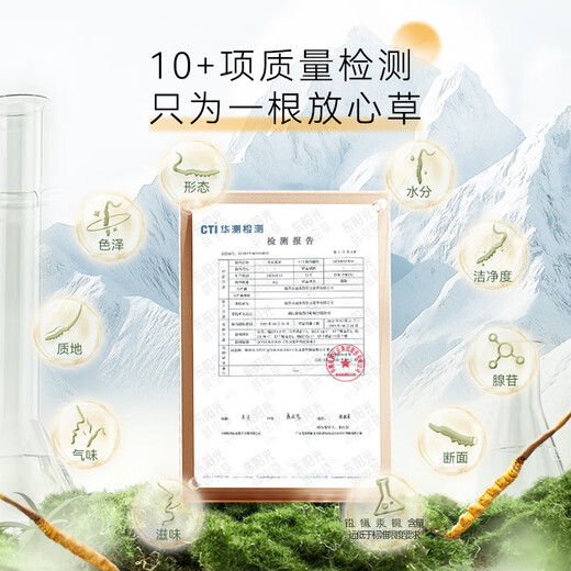 Dongyangguang Cordyceps sinensis 3-4 raíces/G6G Aproximadamente 20 raíces Cordyceps Caja de regalo de alta gama Suplementos nutricionales para ancianos y padres