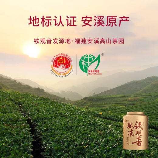 万山红正宗安溪铁观音乌龙茶清香型一级500g罐装茶叶老婆生日礼物