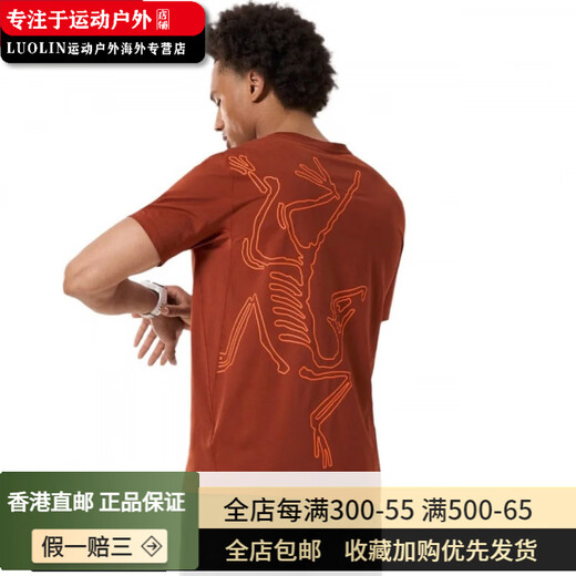 始祖鸟（ARC'TERYX）Cormac Arc'bird  logo男背后大鸟标 短袖X9721 复古绿X9721 S