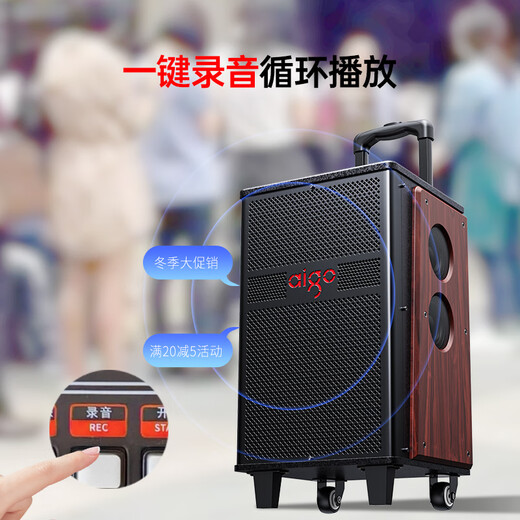 Patriot S610 10-inch heavy bass stage outdoor mobile speaker ktv audio square dance audio camping electric acoustic guitar folk instrument speaker double microphone version