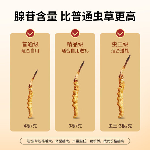 同芙 冬虫夏草2根/g 10g 20根礼盒装 滋补营养补品送长辈礼品礼物