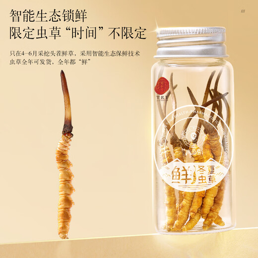 Tongrentang Brand Beijing Tongrentang Fresh Cordyceps Cordyceps Fresh Cordyceps Gift Box Unbreakable Grass Gifts for Elders 1 Box 30G 4A 30 Fresh Cordyceps 1-1.3g/piece