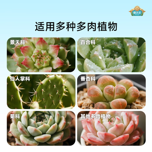 Devodo suelo nutritivo especial suculento 2,6 KG suelo vegetal plantación suelo de flores granular suelo para macetas (100% granular)