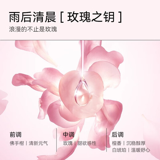 Freiol Rose Body Oil Trial Pack 15ml Wooden Rose Fragrance Essential Oil Fragrance Spa Massage Essence Oil