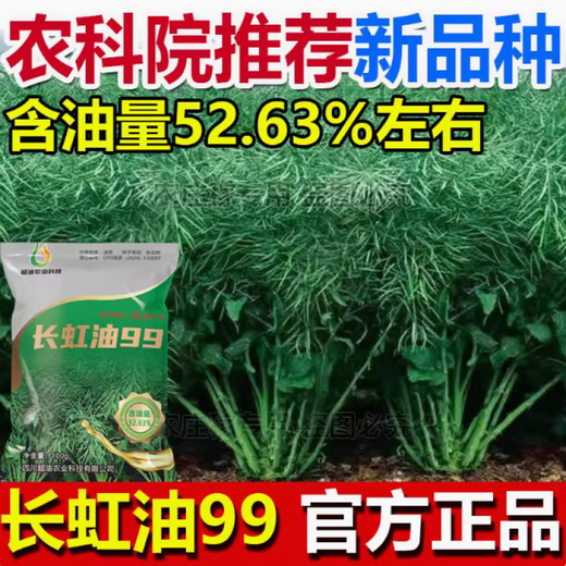 Sichuan's new Changhong Oil high-yielding hybrid rapeseed disease-resistant short stem lodging resistance double-low healthy rapeseed 1 bag Changhong Oil 99-Song High Purity Boron 1 bag