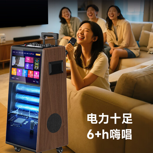 HiVi home KTV audio set outdoor square dance audio with display screen home TV karaoke special speaker karaoke machine microphone all-in-one machine MS129