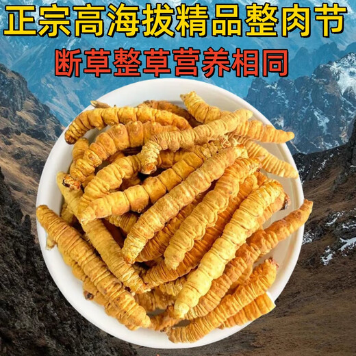 Cordyceps Sinensis Big Broken Grass Pure Festival Festival de viande abordable Authentique Big Broken Grass 50G Boîte cadeau pour un cadeau pour votre propre usage. Festival authentique de la viande fine à Nagqu, Tibet 10G