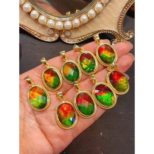 DRJEFUN Canadian Ammonite Oval Pendant 925 Silver Inlaid 21.8*17.3mm .3MM