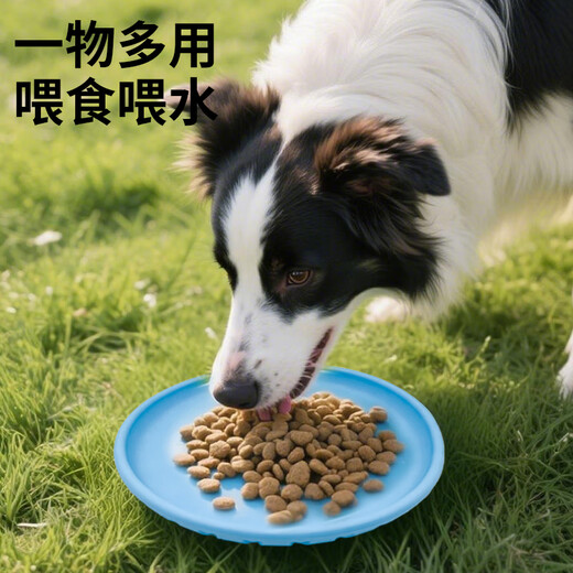 Zanpet Dog Toy Training Frisbee Blue Pet Puppy Resistant Tooth Molar Artifact Border Collie Bichon Golden Retriever Corgi Large Dog