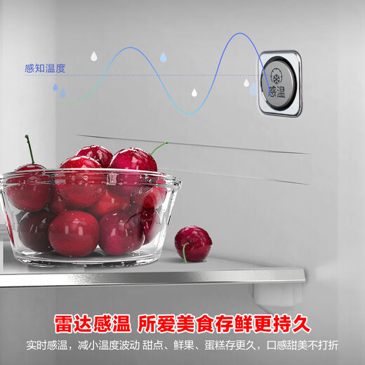 Rongsheng 501pro IDP odor-free cross four-door embedded first-level energy-efficiency variable frequency active sterilization dual-cycle dual-system smart refrigerator BCD-501WD3FPZ Gray