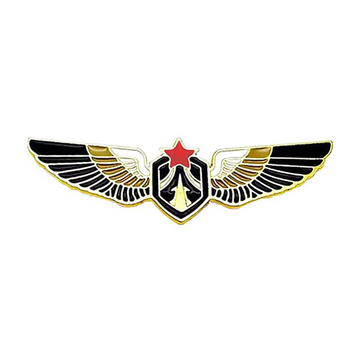 WEISHINI Air Show Aerospace Fighter Badge Y-20 H-6K Teaching 8 J-20 UAV Model Aviation Aircraft Metal Brooch J-20-Vyron