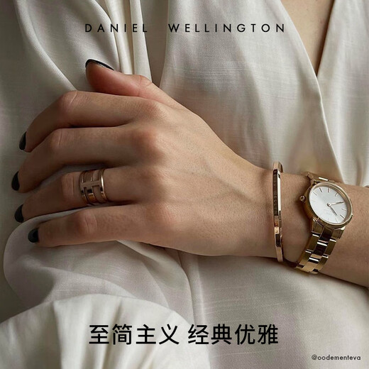 丹尼尔惠灵顿（DanielWellington）dw手镯女时尚首饰玫瑰金情侣对镯七夕情人节礼物DW00400003