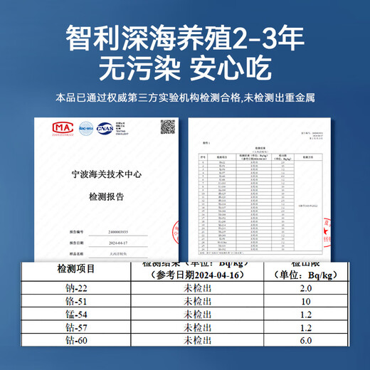 Meiwei Frozen Chilean Strictly Selected Salmon Fillets 4 Packs Net Weight 480g Atlantic Salmon Seafood Fish