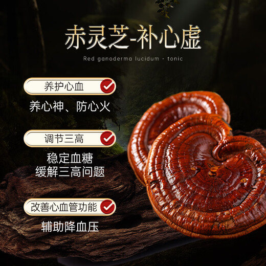 WILAKON/维乐康破壁灵芝孢子粉胶囊增强免疫力术后放化疗中老年人营养品90粒/盒
