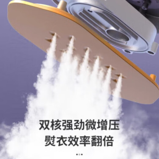 
RASW German handheld hanging ironing machine mini steam electric iron small portable soup clothes ironing folding ironing machine 6-speed model_purple_220V_national standard plug_domestic use