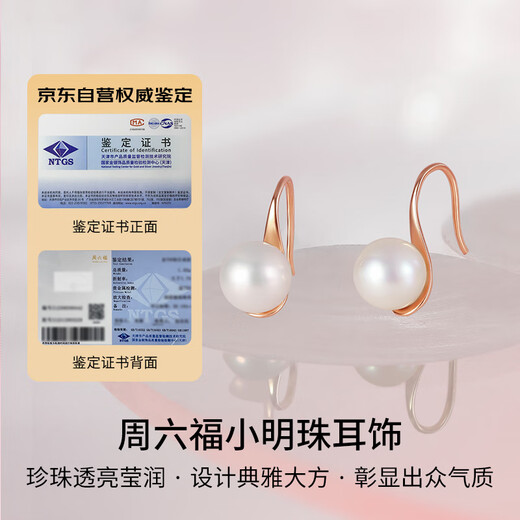 Saturday Fu S925 silver pearl earrings girl birthday gift X0911988 pair